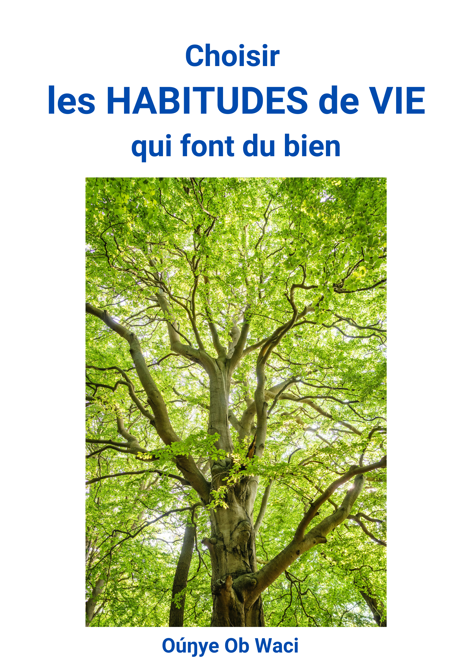 Cover for Choisir les HABITUDES de VIE qui font du bien