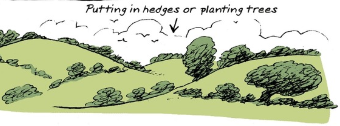 Plant_Trees.png